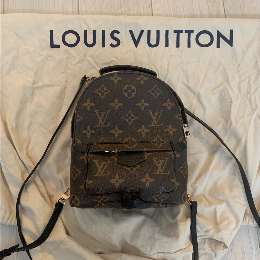 Louis Vuitton Palm Springs Backpack Mini